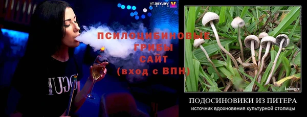 стафф Баксан