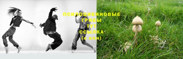 стафф Баксан