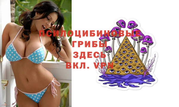 хмурый Балахна